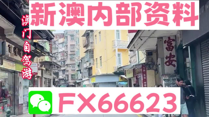 新奧精準(zhǔn)免費(fèi)資料提供，探索與啟示，新奧精準(zhǔn)免費(fèi)資料探索，啟示與分享