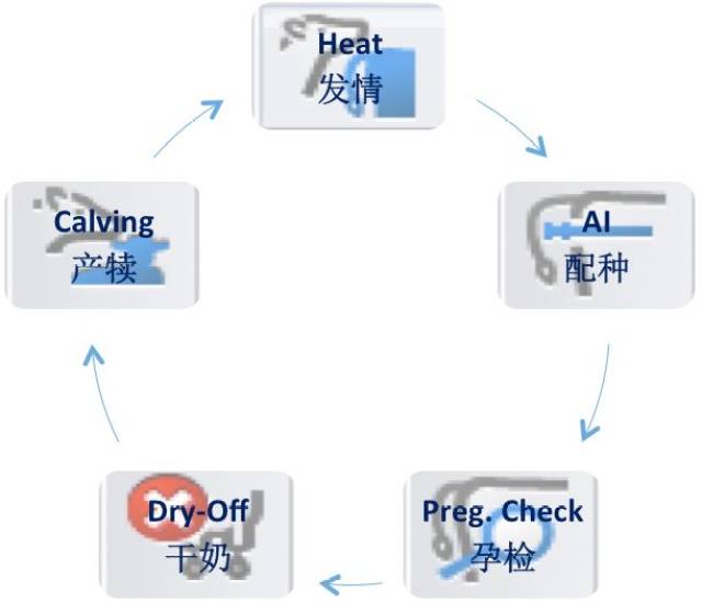 新澳門一肖中100%期期準(zhǔn)精準(zhǔn)軟件,全面數(shù)據(jù)分析方案_戶外版25.438