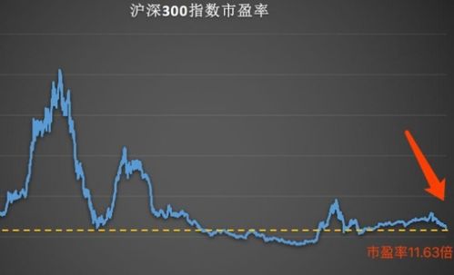 浙大網(wǎng)新歷史最高股價，探索背后的力量與未來展望，浙大網(wǎng)新歷史最高股價背后的力量與未來展望