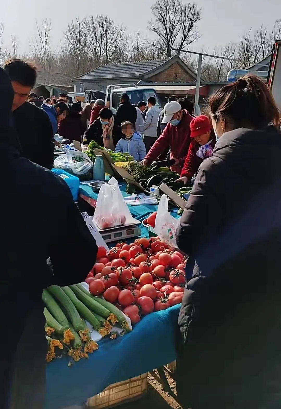 供銷大集，明日走勢預測與市場分析，供銷大集明日走勢預測及市場分析概覽