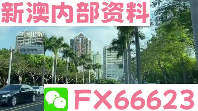 新澳精準(zhǔn)資料免費(fèi)提供，探索第353期的奧秘與價(jià)值，新澳精準(zhǔn)資料第353期探索，奧秘與價(jià)值揭秘，資料免費(fèi)分享