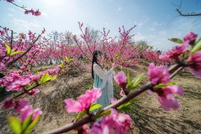 天下秀股票所屬板塊深度解析，天下秀股票所屬板塊的深度剖析