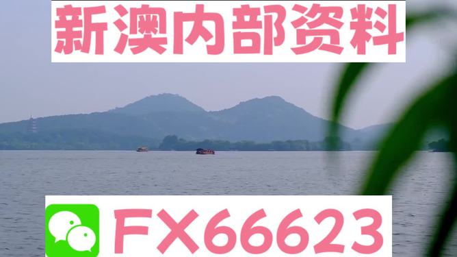 新澳正版2024免費(fèi)資料大全，探索與解析，新澳正版2024資料大全，全面探索與深度解析