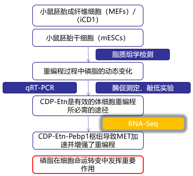 新奧精準(zhǔn)資料免費(fèi)提供彩吧助手,科學(xué)分析解析說(shuō)明_Advance33.94