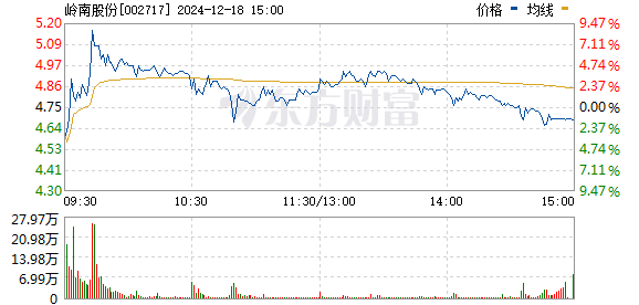 嶺南股份的麻煩事，挑戰(zhàn)與機(jī)遇并存，嶺南股份面臨挑戰(zhàn)與機(jī)遇并存的發(fā)展局面