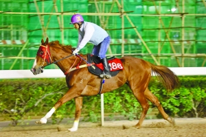 關(guān)于澳門特馬今晚開獎(jiǎng)的討論與警示，澳門特馬今晚開獎(jiǎng)討論及警示