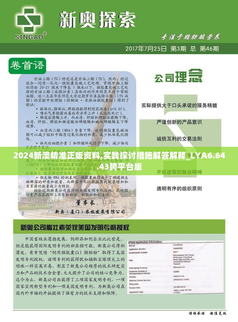 2024新澳精準(zhǔn)正版資料,高效說(shuō)明解析_微型版23.179