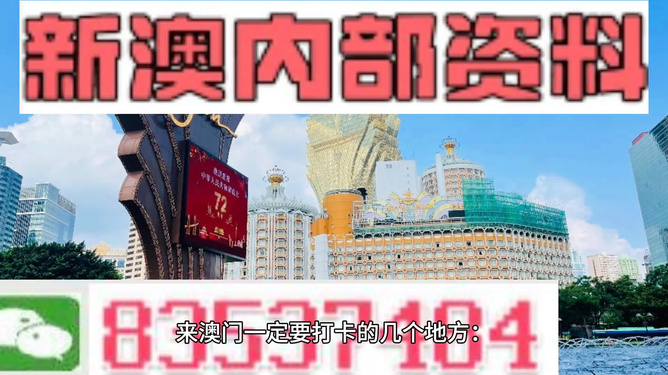 關(guān)于新澳門2024年正版免費(fèi)公開的問題——揭示犯罪真相與風(fēng)險(xiǎn)警示，澳門2024年正版免費(fèi)公開背后的犯罪真相與風(fēng)險(xiǎn)警示揭秘