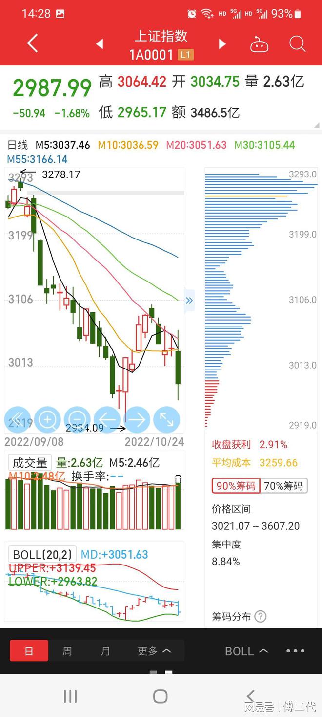 上證指數(shù)暴跌百點新，市場波動背后的深層原因與應(yīng)對策略，上證指數(shù)暴跌百點背后的深層原因及應(yīng)對策略