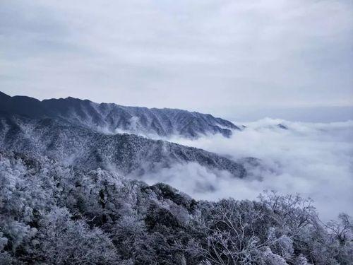 雪人股份目標(biāo)價(jià)2024年，深度分析與展望，雪人股份2024年目標(biāo)價(jià)深度分析與展望