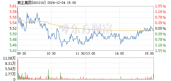 君正集團(tuán)股價(jià)下跌5.13%背后的原因及未來(lái)展望，君正集團(tuán)股價(jià)下跌原因解析與未來(lái)展望