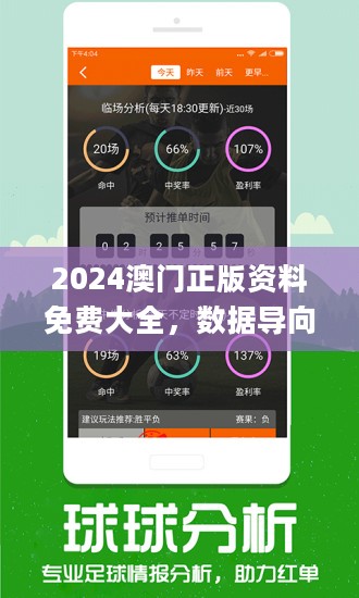 新澳2024今晚開獎(jiǎng)資料詳解，新澳2024今晚開獎(jiǎng)資料全面解析