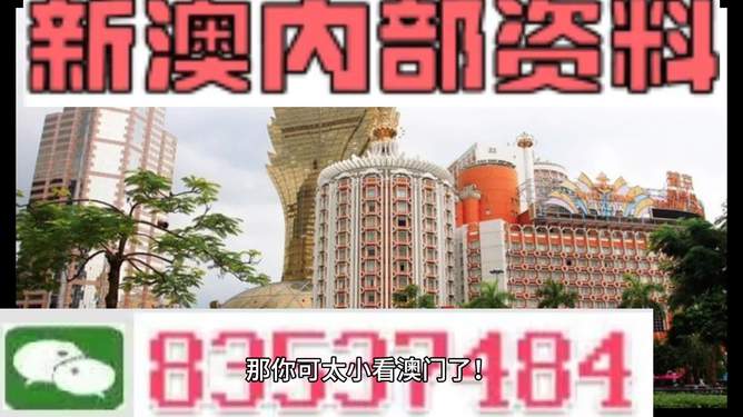 澳門內(nèi)部資料精準(zhǔn)大全2023——警惕違法犯罪風(fēng)險(xiǎn)，澳門內(nèi)部資料精準(zhǔn)大全背后的風(fēng)險(xiǎn)，警惕違法犯罪威脅 2023年警惕篇