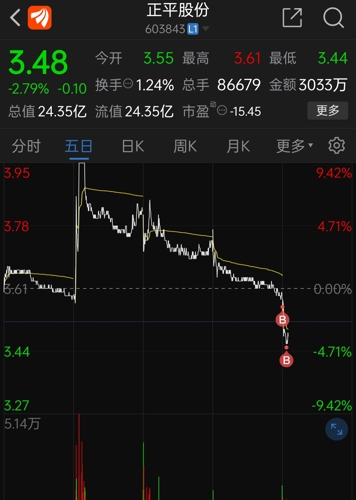 正平股份收盤下跌0.97%，市場解讀與未來展望，正平股份收盤微跌0.97%，市場解讀與前景展望