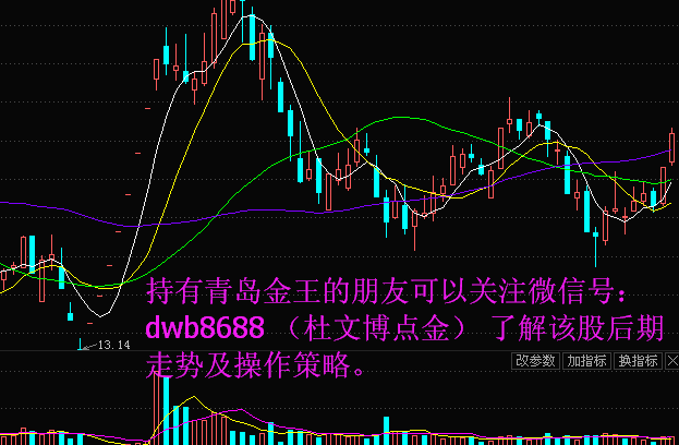 青島金王重大利好消息引領(lǐng)企業(yè)騰飛，青島金王利好消息助力企業(yè)騰飛發(fā)展