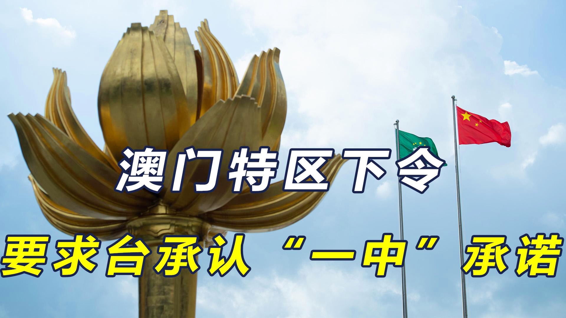 澳門一碼一肖一恃一中312期，探索與解讀，澳門一碼一肖一恃一中探索解讀，揭秘背后的秘密與奧秘