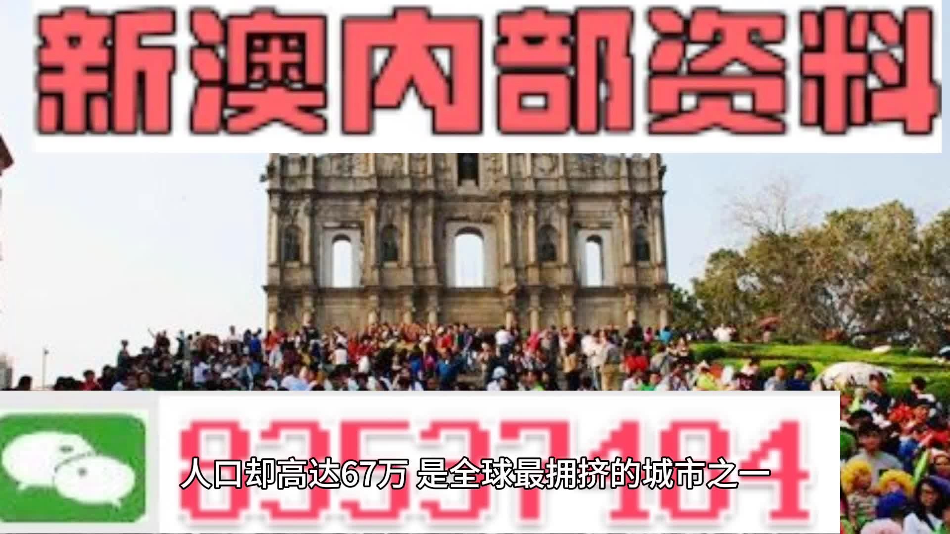 新澳門免費全年資料查詢，探索與解析，澳門全年免費資料查詢，深度探索與解析