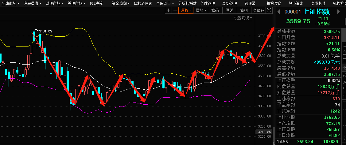 今日最新股票行情分析，今日股票行情深度解析