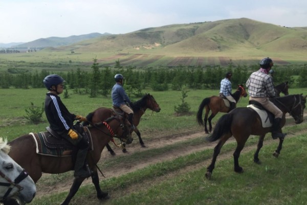 澳門特馬今晚開獎，探尋彩票背后的故事與期待，澳門特馬今晚開獎，探尋彩票背后的故事與期待之夜