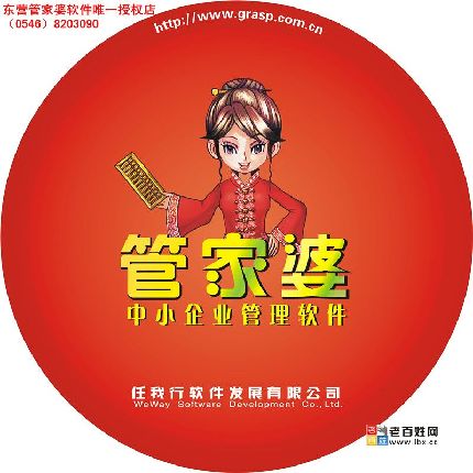 探索正版管家婆軟件的魅力與價值，正版管家婆軟件的魅力與價值探索