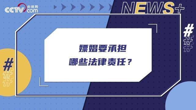 嫖娼行為的法律責(zé)任，深入了解相關(guān)法律責(zé)任與后果，嫖娼行為的法律責(zé)任詳解，后果與法律責(zé)任全解析