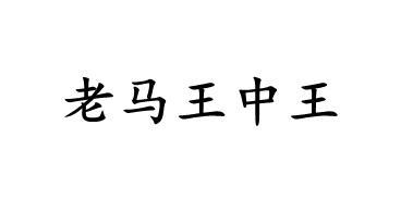 王中王一句解一肖王——探尋神秘文化符號(hào)背后的深意，探尋神秘文化符號(hào)王中王一句解一肖王背后的深意