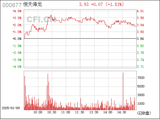 恒天海龍，探索企業(yè)轉(zhuǎn)型與創(chuàng)新的奧秘，恒天海龍，企業(yè)轉(zhuǎn)型與創(chuàng)新之路的奧秘探索