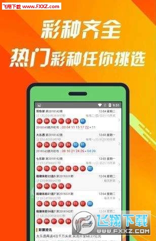 關于王中王504三肖的探討，王中王504三肖深度探討