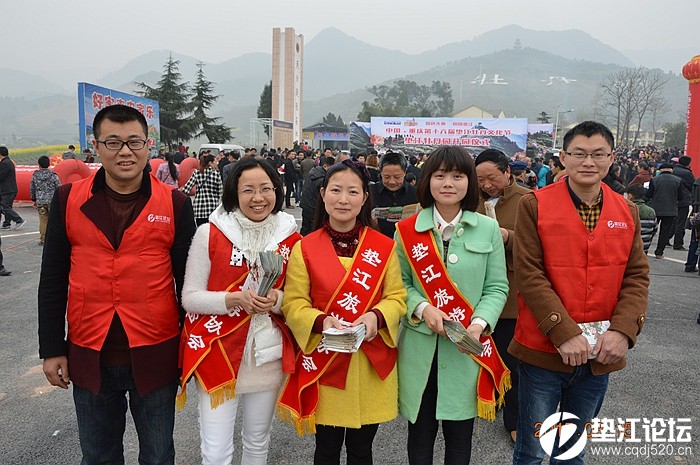 墊江論壇，匯聚智慧，共創(chuàng)美好未來，墊江論壇，匯聚智慧，共筑美好未來之夢