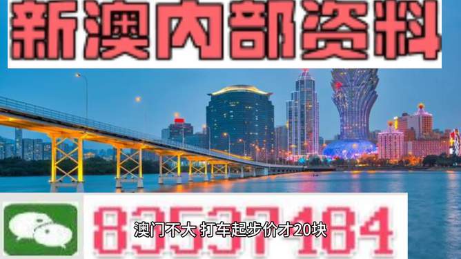 澳門未來展望，聚焦2025新澳門資料大全（第123期），澳門未來展望，聚焦新澳門資料大全（第123期展望至2025年）