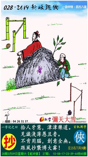 探索精準(zhǔn)跑狗圖，數(shù)字組合的魅力與跑狗圖的奧秘，精準(zhǔn)跑狗圖揭秘，數(shù)字組合的魅力和奧秘探索